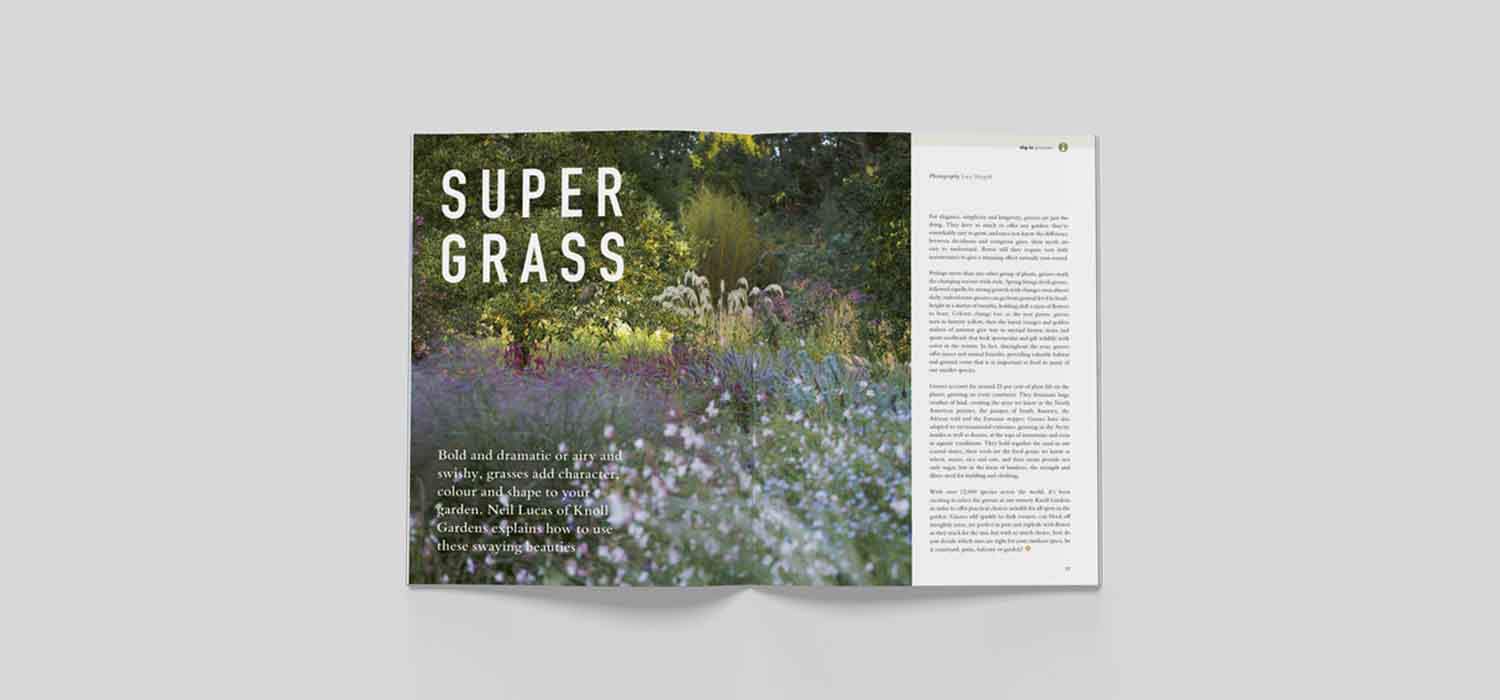 Bloom magazine issue4 article on Thursd grass