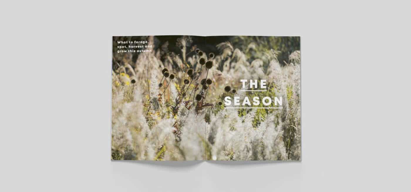 Bloom magazine issue4 article on Thursd season