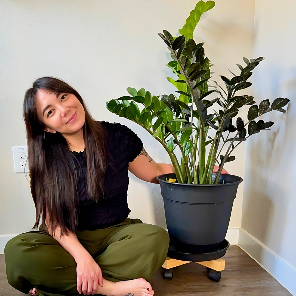 8 Most resilient and strong plants best for gardening beginners - Thursd Article