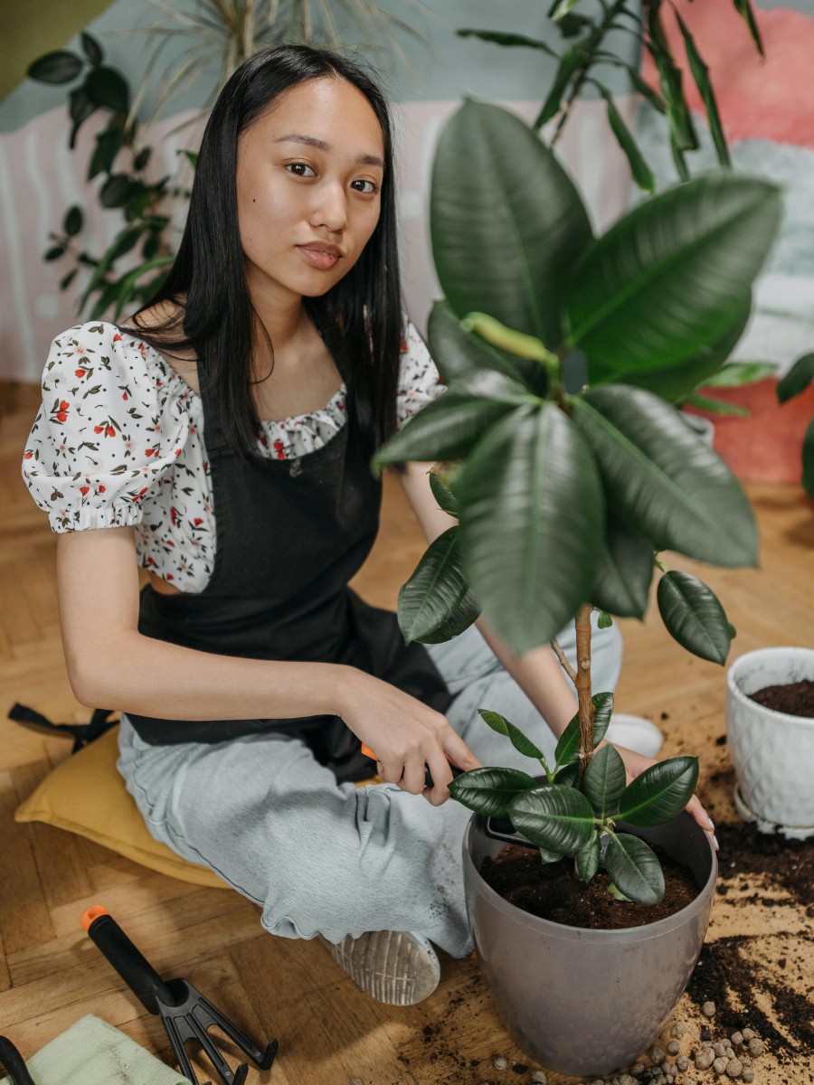 8 Most resilient and strong plants best for gardening beginners - Thursd Article