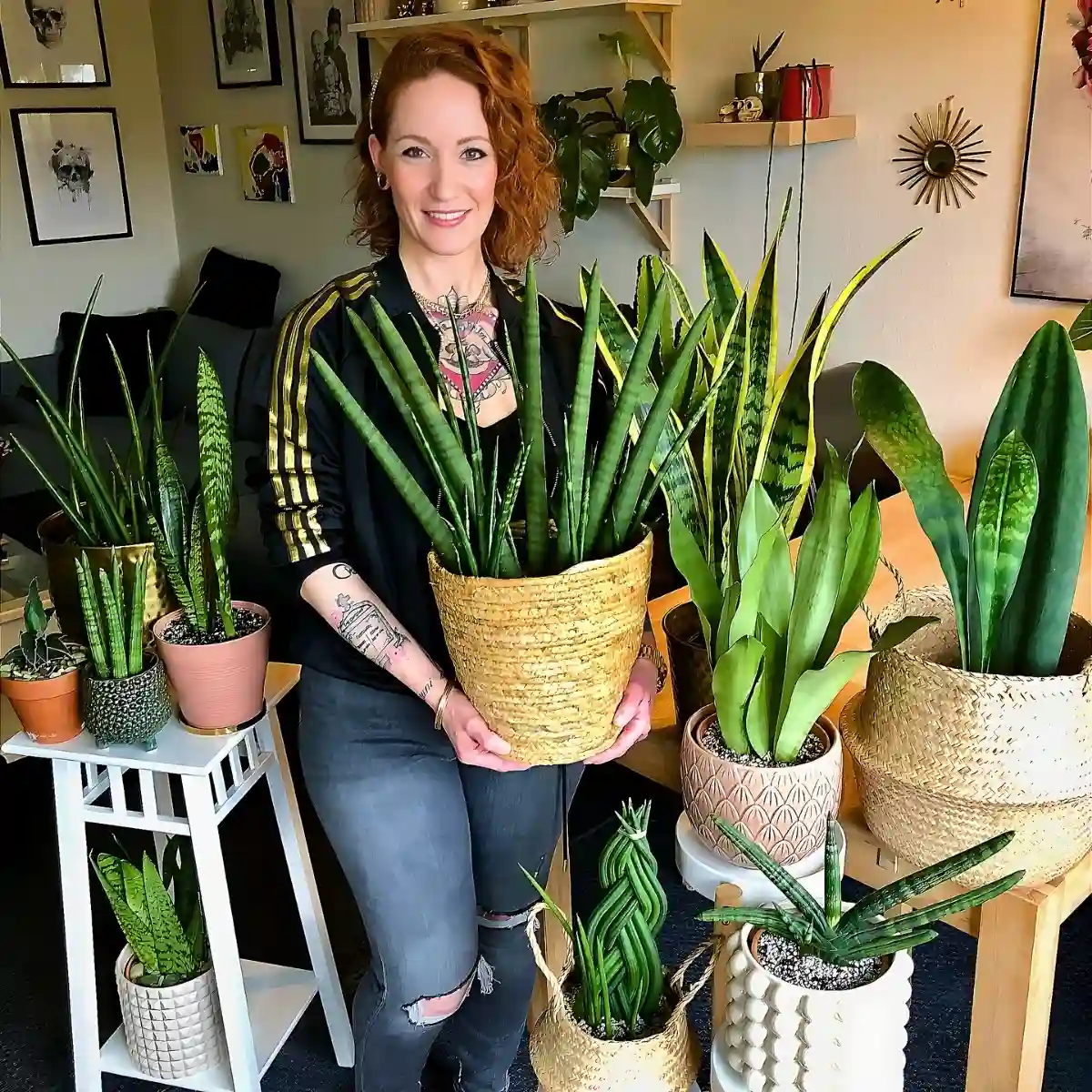 8 Most resilient and strong plants best for gardening beginners - Thursd Article