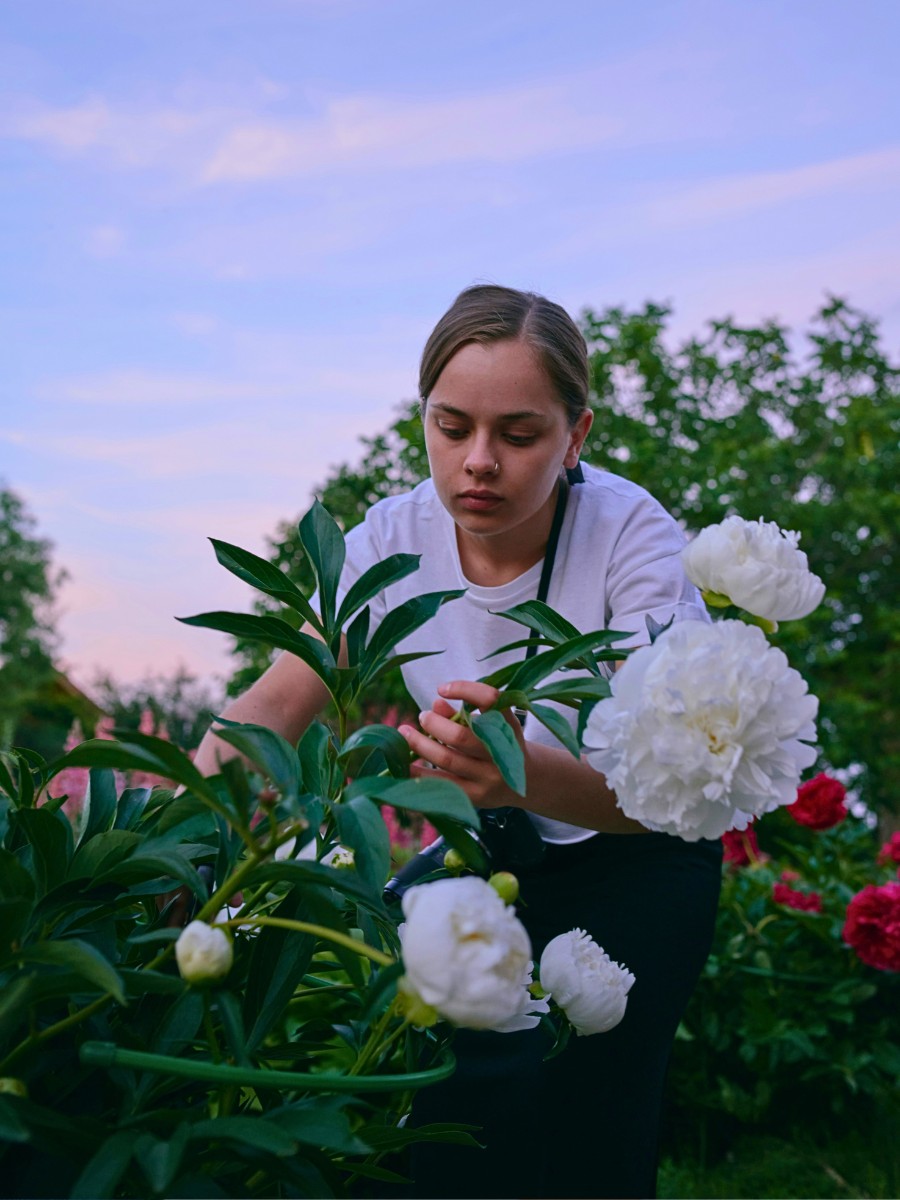 Catering to Generation Z Consumers: Identifying Key Traits and Wellbeing Benefits in Floral Products report, presented by Floral Marketing Fund (FMF), CalFlowers, and FTD, and conducted at the APPAH lab, Colorado State University, on what Gen Z seek in flowers
