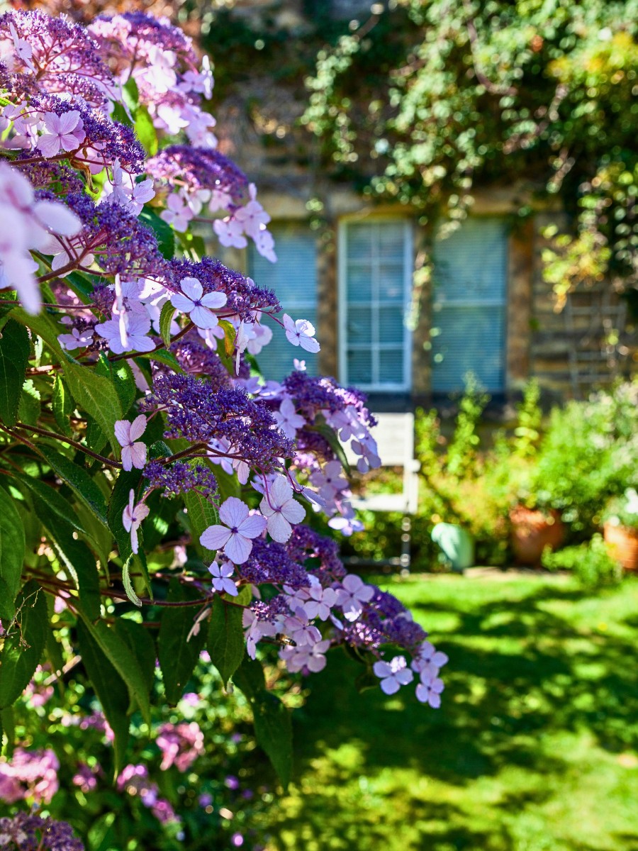 The Untamed Beauty of Cottage Gardens