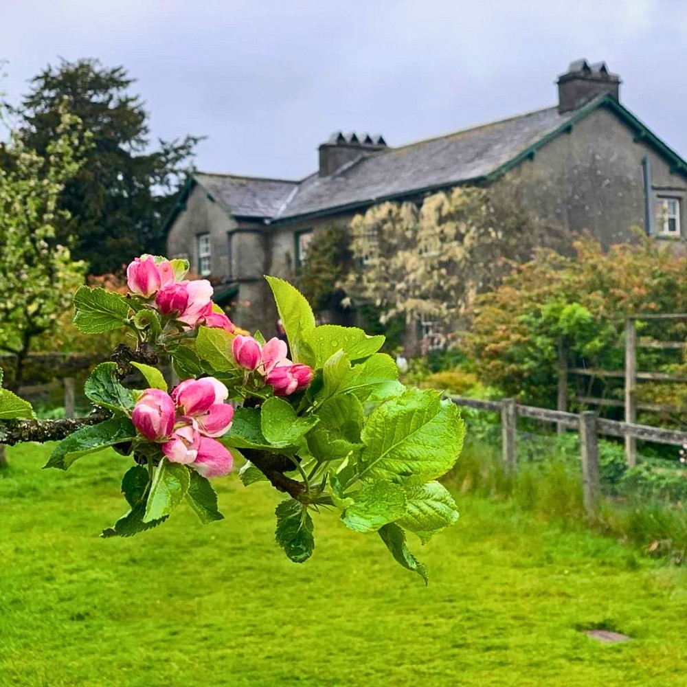 Cottage Gardens Are Whimsically Pleasant Spaces