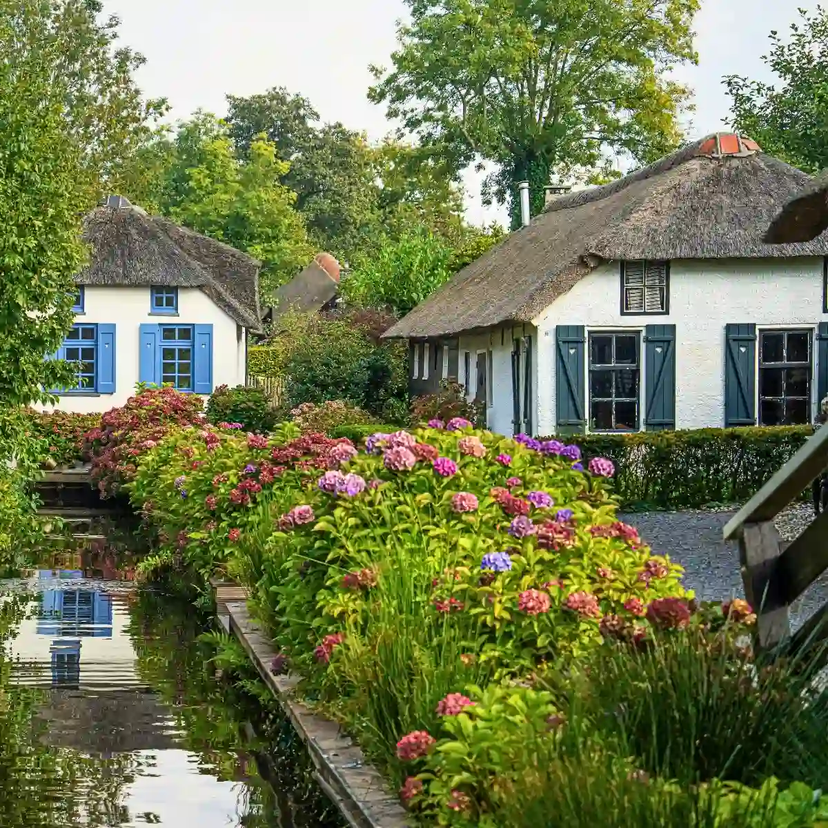 Cottage gardens where plants and flowers flourish wildly have a lasting charm and appeal that goes beyond time and trends.