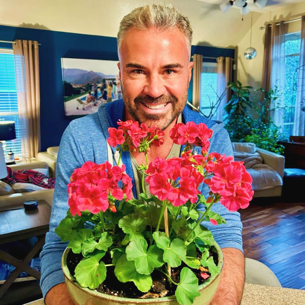 Why flowers close at night