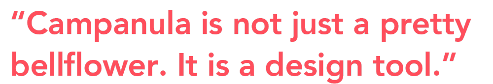 Campanula design tool quote