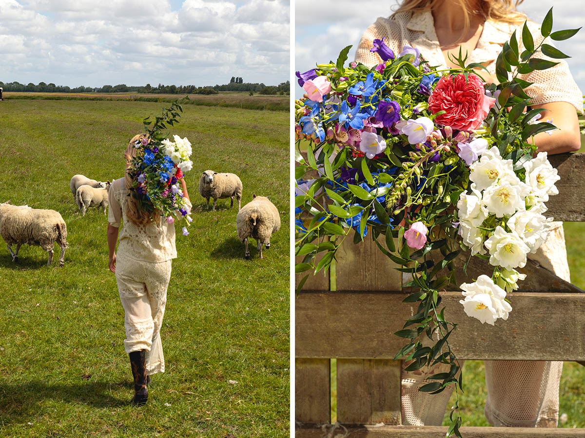 Campanula wild bouquet in field with sheep