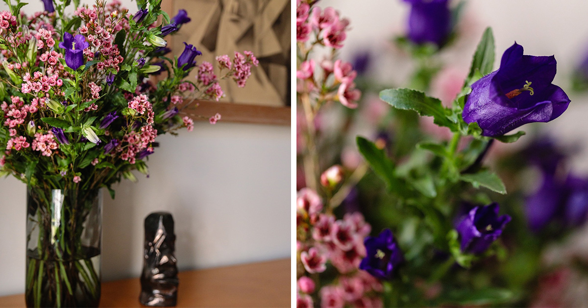 Campanula mix bouquet by plantion