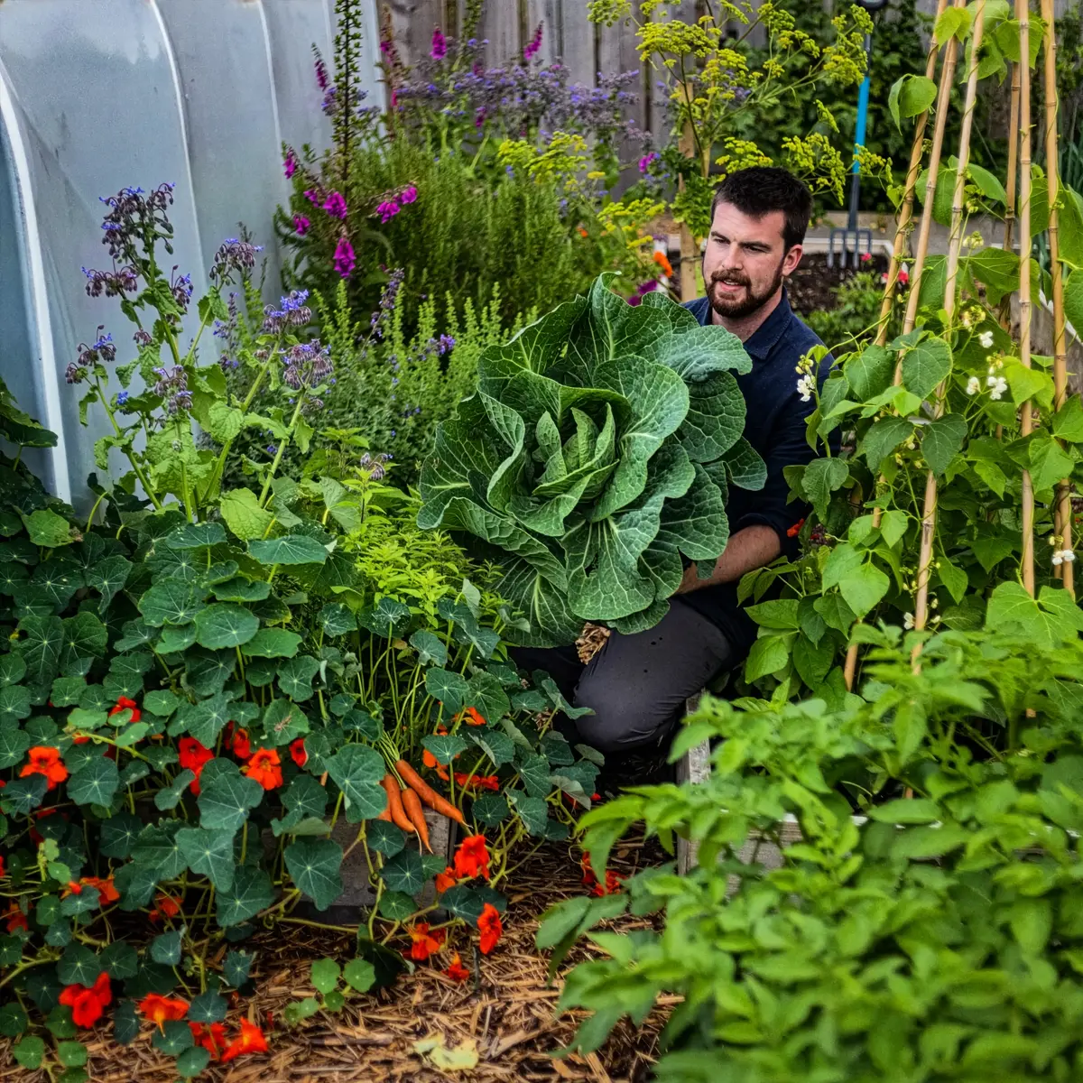 Companion Planting With Flowers – How Can You Effectively Achieve It?
