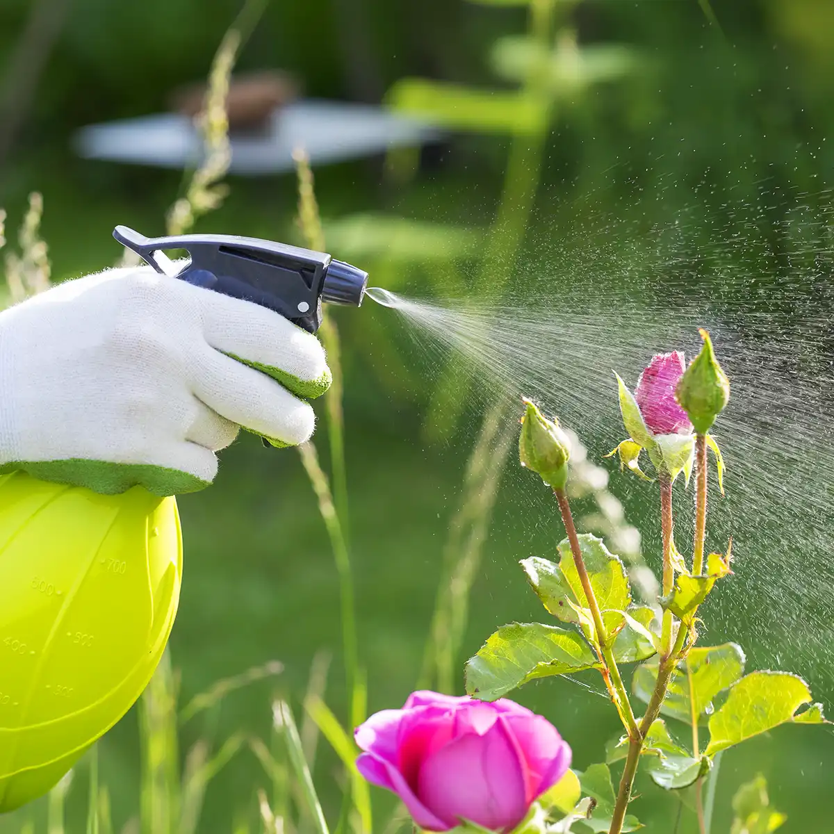 Pesticides spray