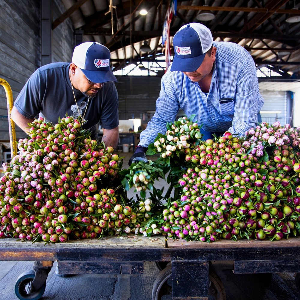 American Grown Flowers and What They Are All About