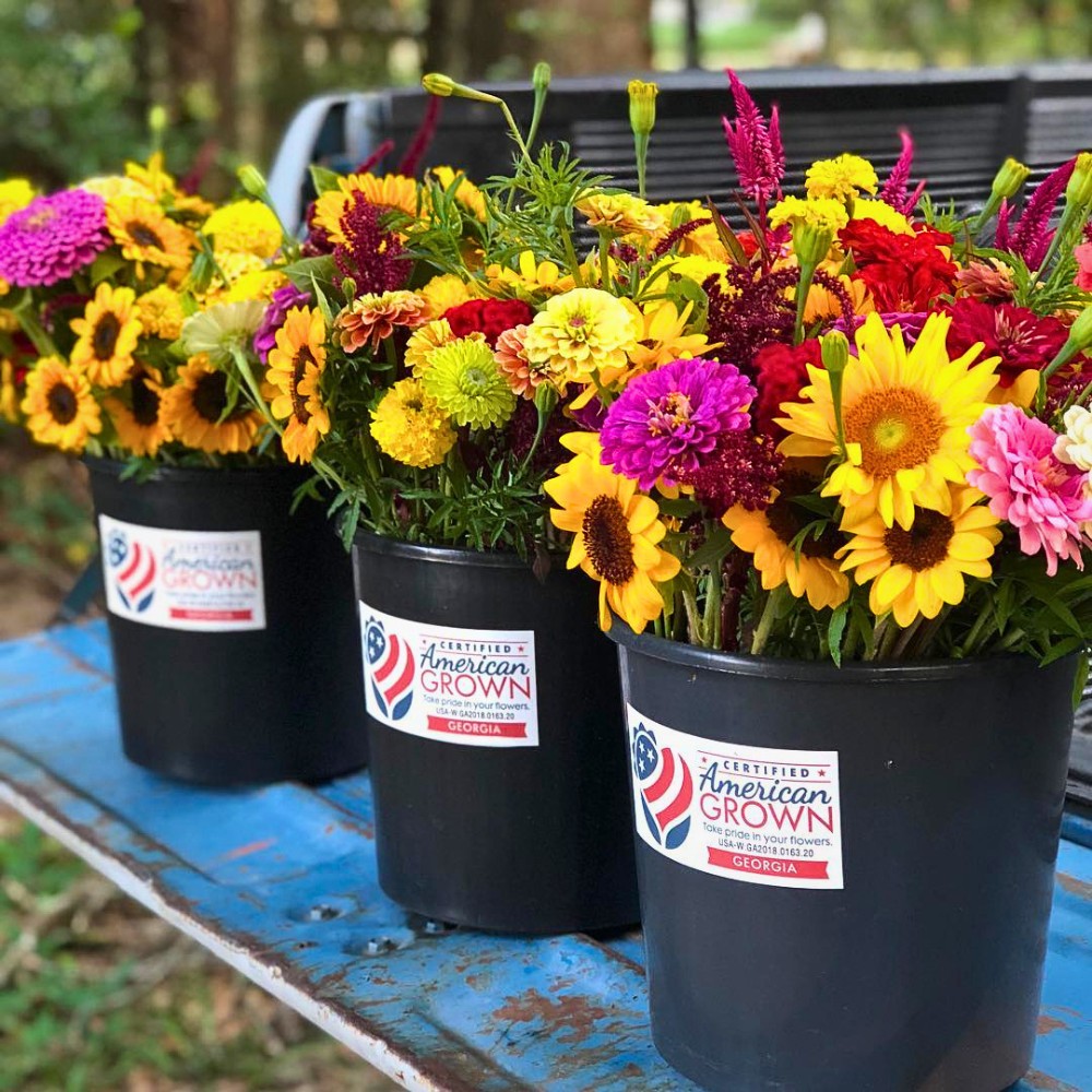 American Grown Flowers and What They Are All About