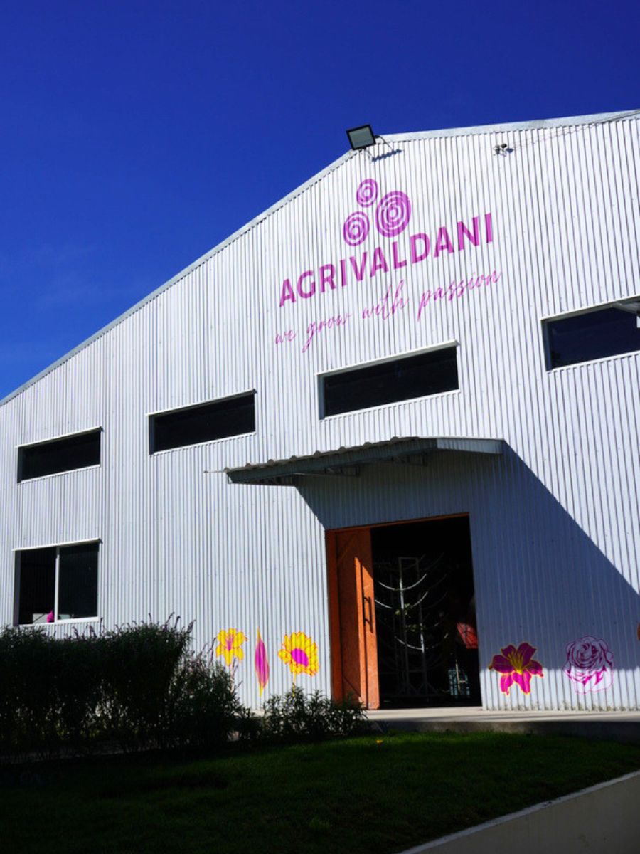 Agrivaldani farm in Ecuador
