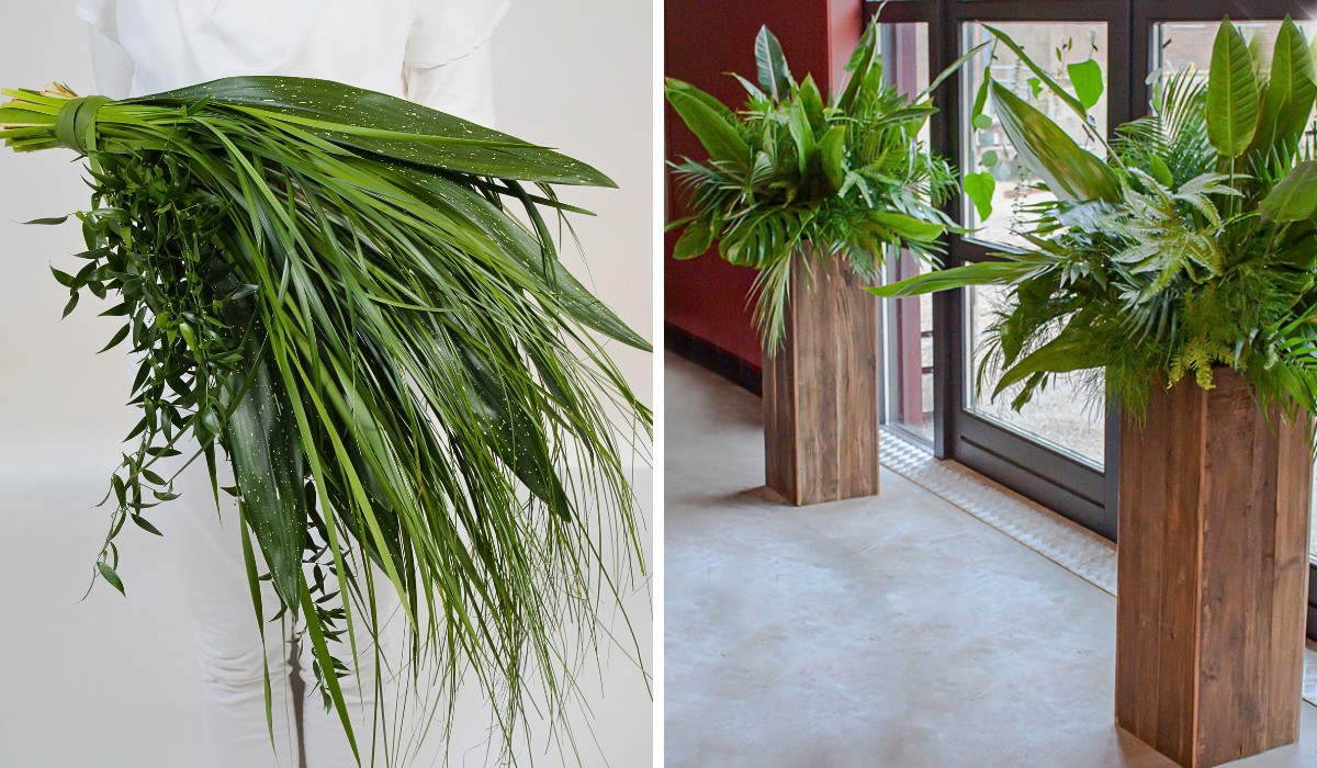 The OrcaGreen brand by Adomex offers the largest variety of decorative green and cut foliage. They are what you're looking for to make the event even more unique and special