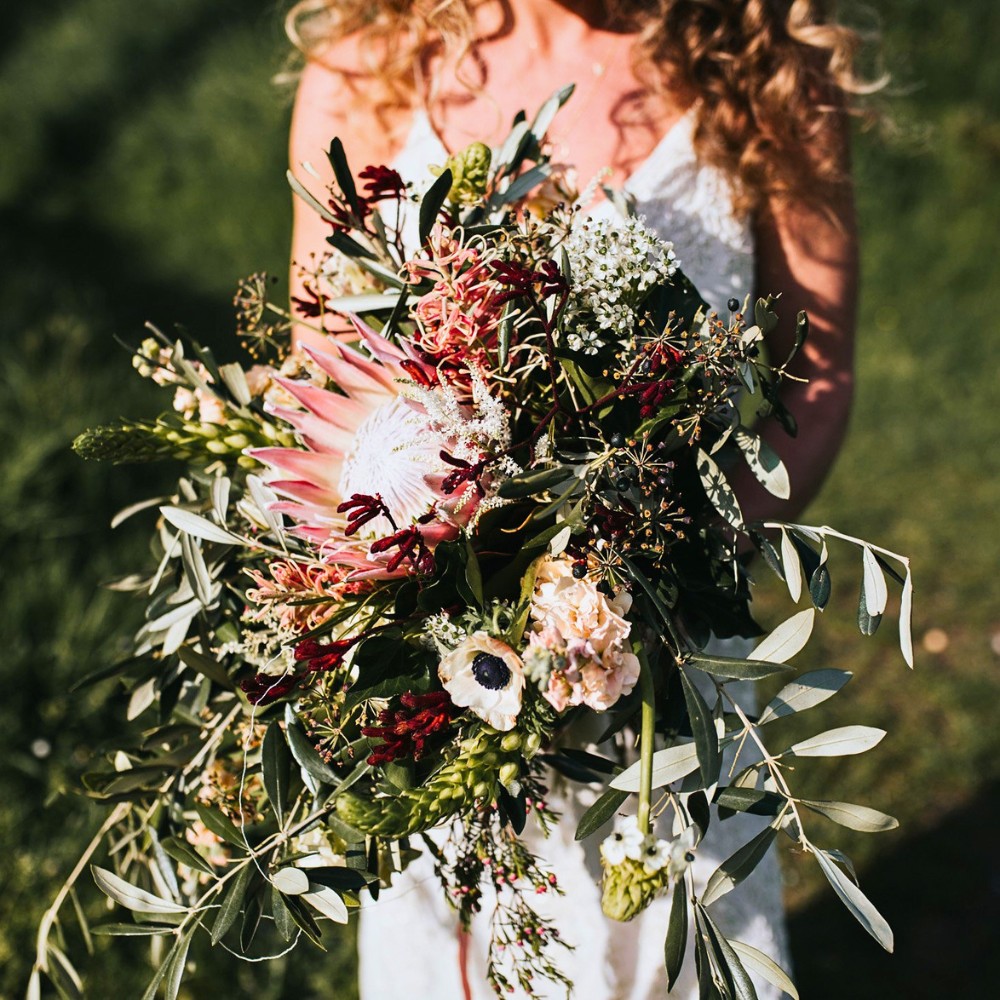 The OrcaGreen brand by Adomex offers the largest variety of decorative green and cut foliage. They are what you're looking for to make the event even more unique and special
