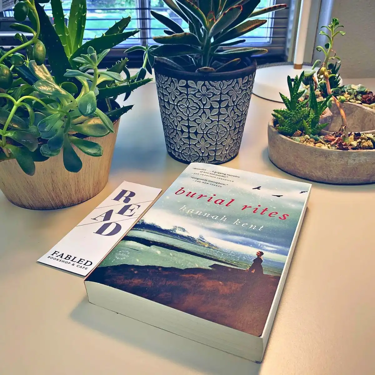 Office plants