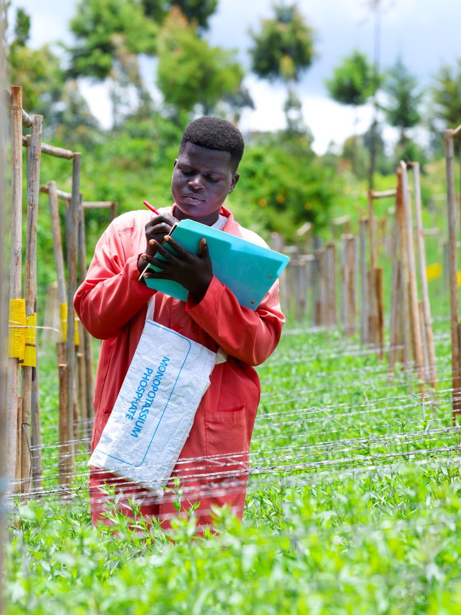 Flower farm staff at Ole Engai Flowers in Kenya