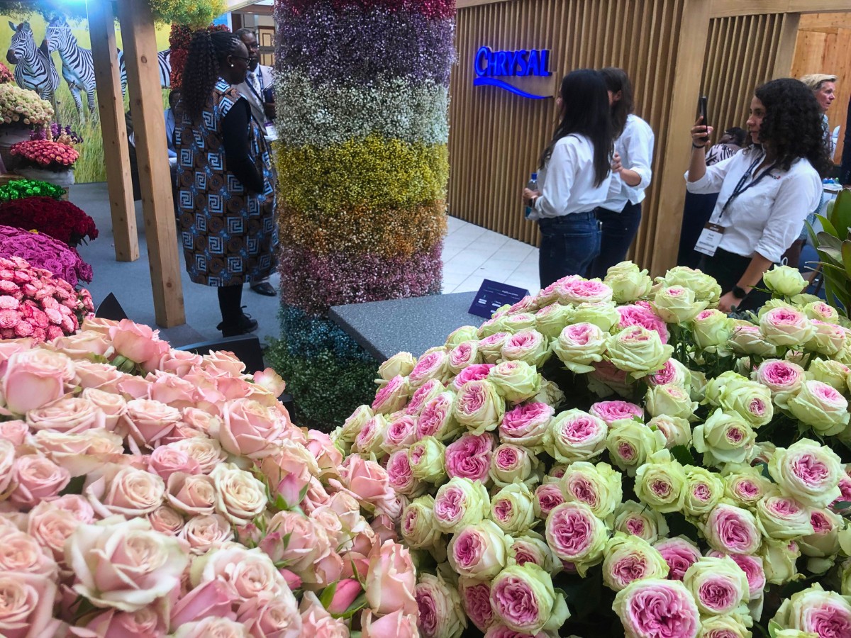 IFTEX 2026 Is Coming Up, and Thursd Still Celebrates Kenyan Flowers