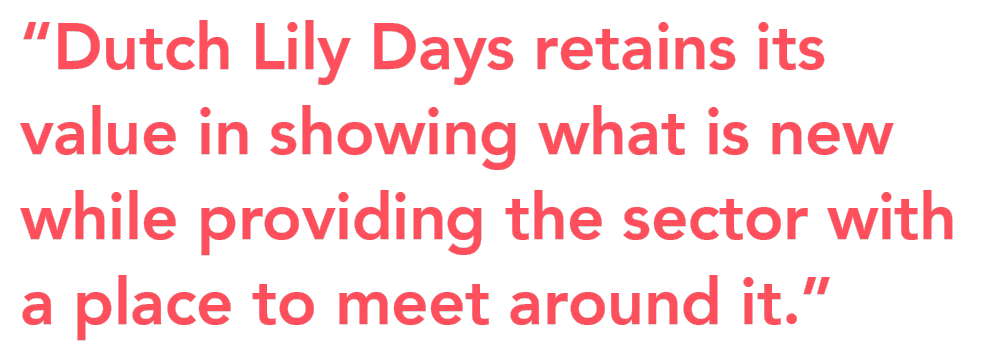 Dutch Lily Days 2026 preview novelties quote