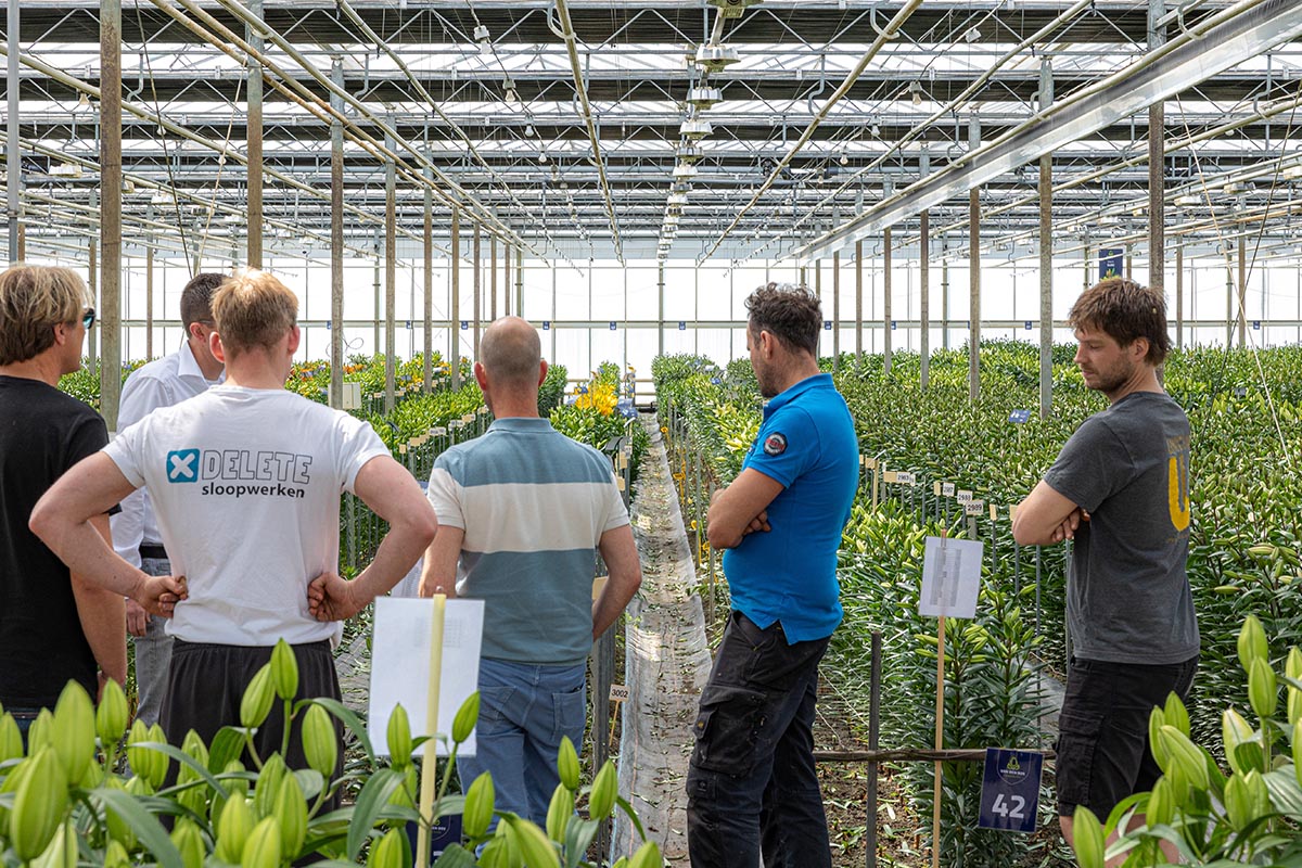 Group visiting Van den Bos Dutch Lily Days 2023