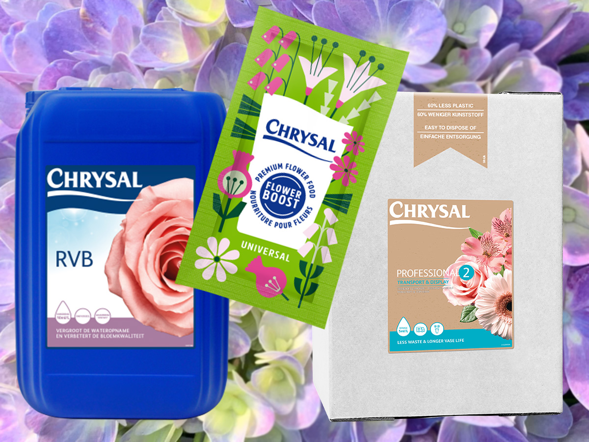 Chrysal Hydrangea Solutions 2026