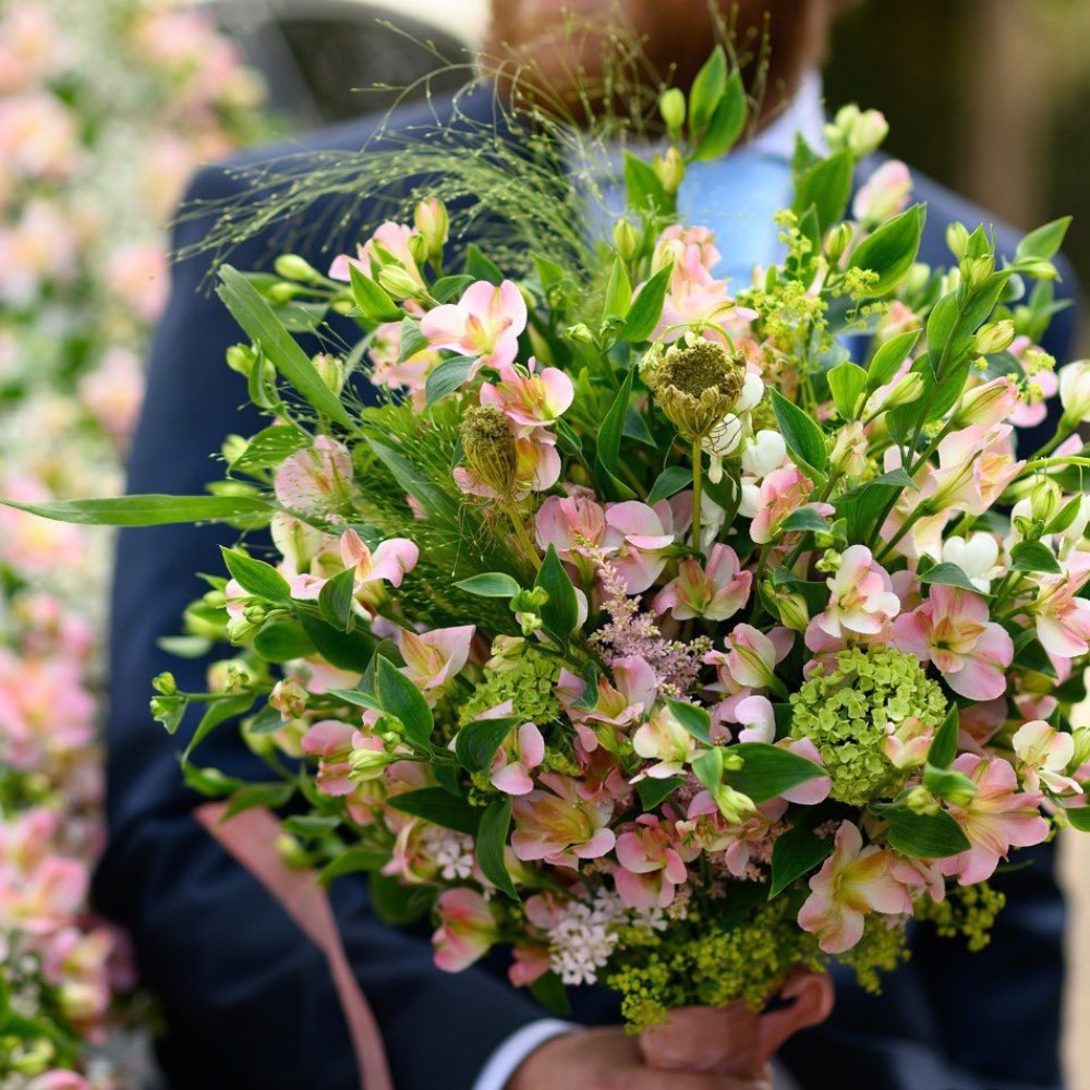 How Does the Breeding of Alstroemeria Work? Here&rsquo;s the Process