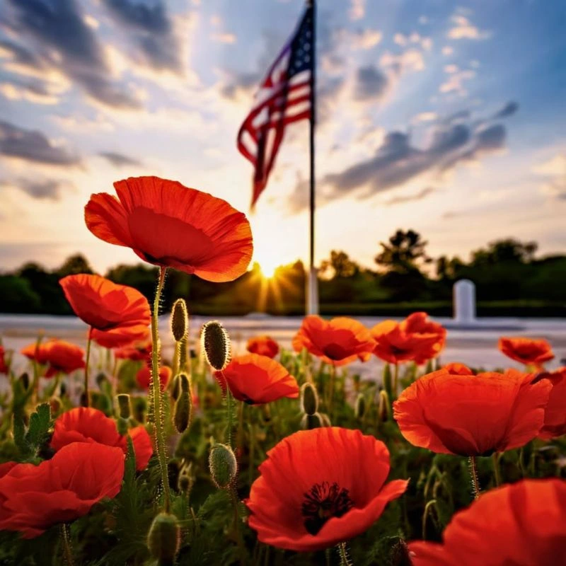 The Role of Flowers in Honoring Fallen Heroes on Memorial Day
