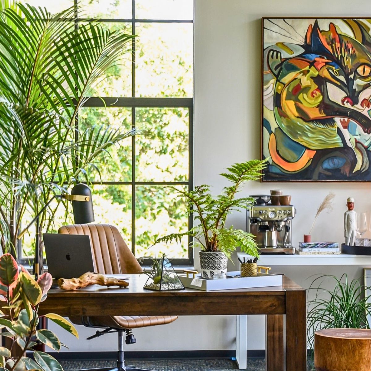 Office plants 