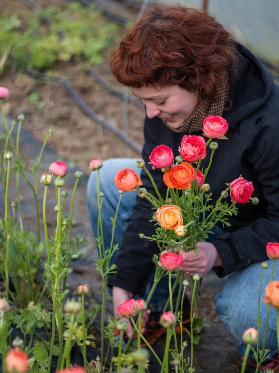 Collectif de la Fleur Fran&ccedil;aise (CFF) Is a French Non-Profit Association Dedicated to the Promotion and Consumption of Locally Grown, Seasonal Cut Flowers in France.