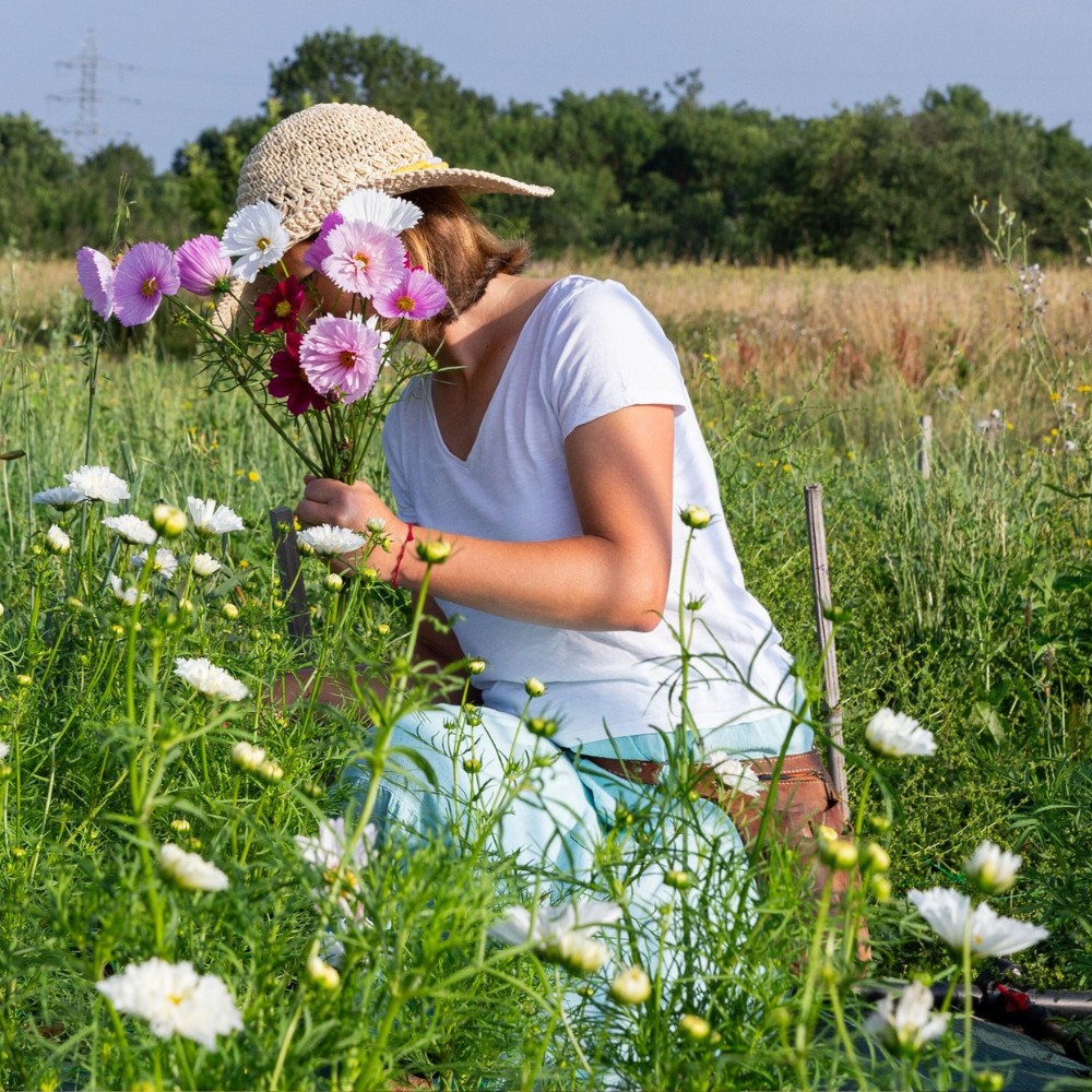 Collectif de la Fleur Fran&ccedil;aise (Cff) Is a French Non-Profit Association Dedicated to the Promotion and Consumption of Locally Grown, Seasonal Cut Flowers in France.