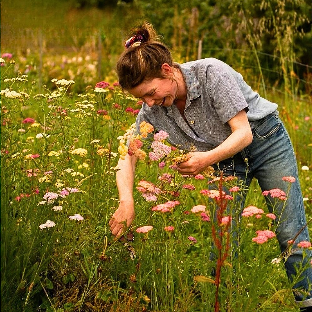 Collectif de la Fleur Fran&ccedil;aise (CFF) Is a French Non-Profit Association Dedicated to the Promotion and Consumption of Locally Grown, Seasonal Cut Flowers in France.