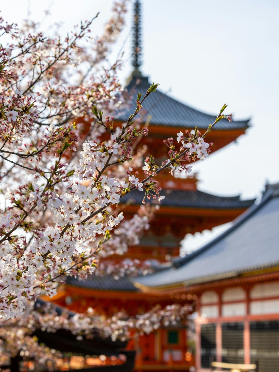 Why Are Flowers Important in Japanese Culture?