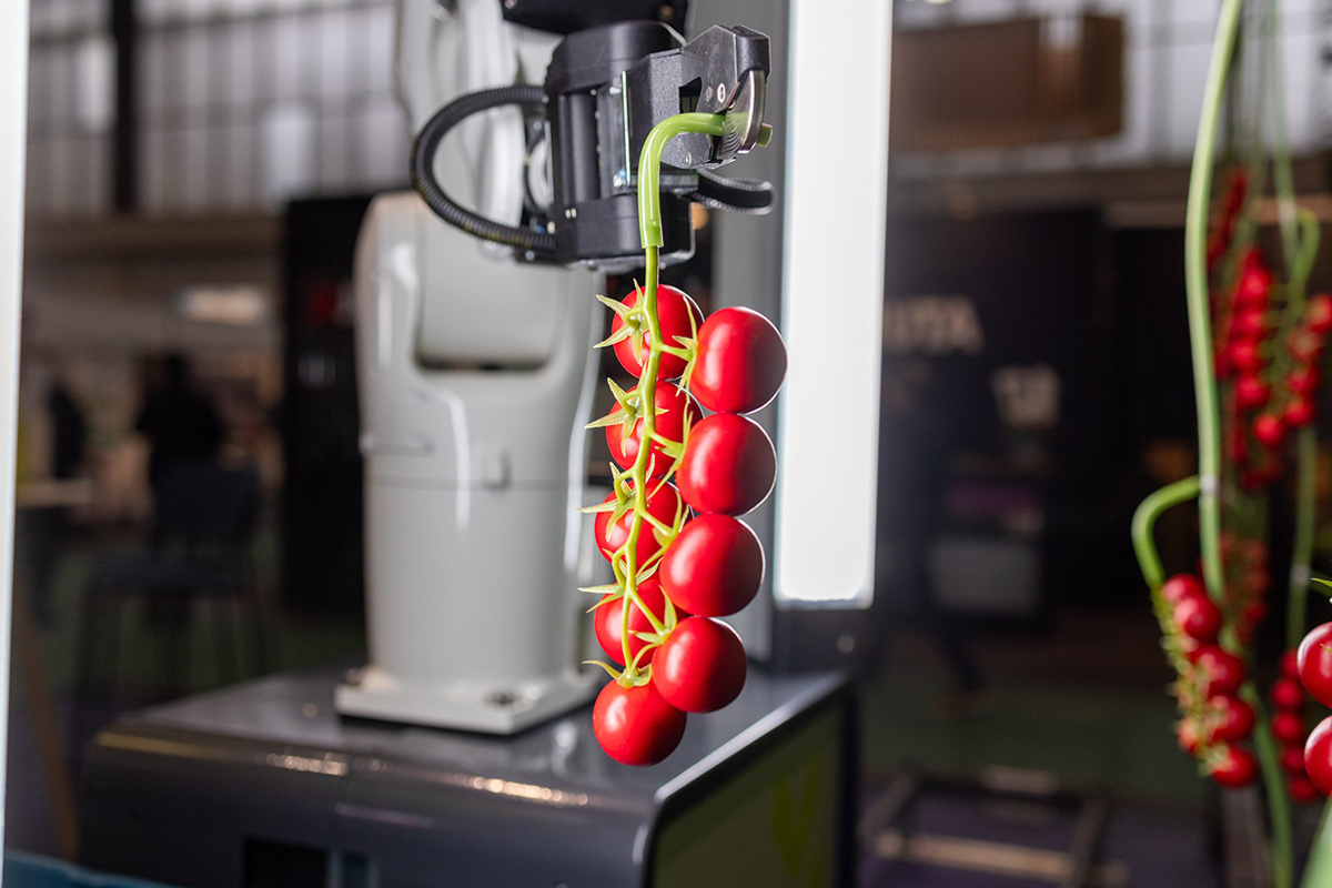 GreenTech Amsterdam 2025 Tomato robot