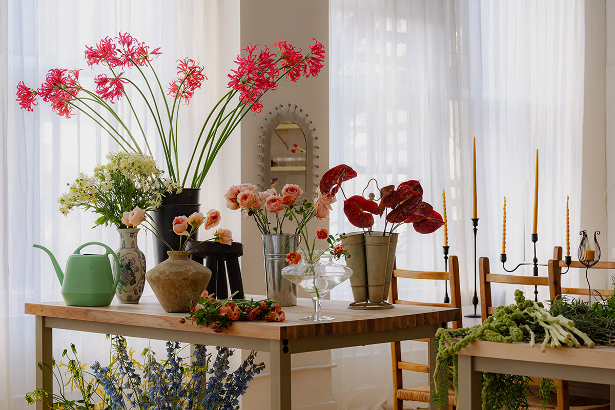 Kelsie Hayes House of Tree Nerine