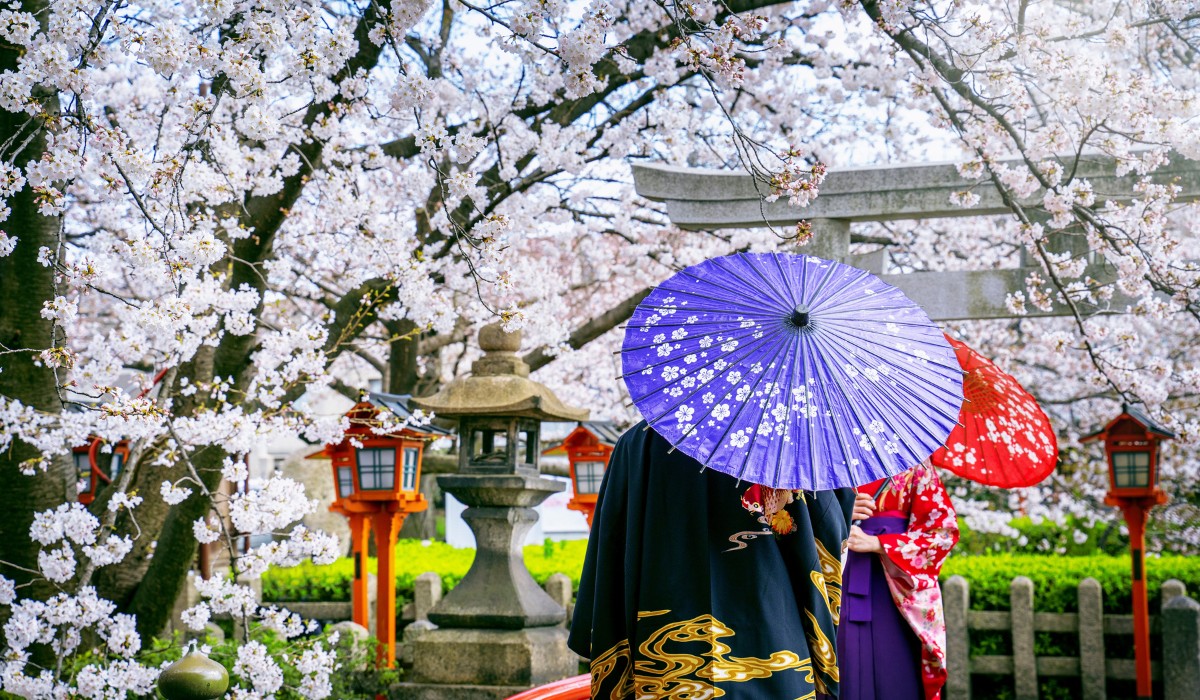 Here&rsquo;s Why Flowers Are Important in Japanese Culture