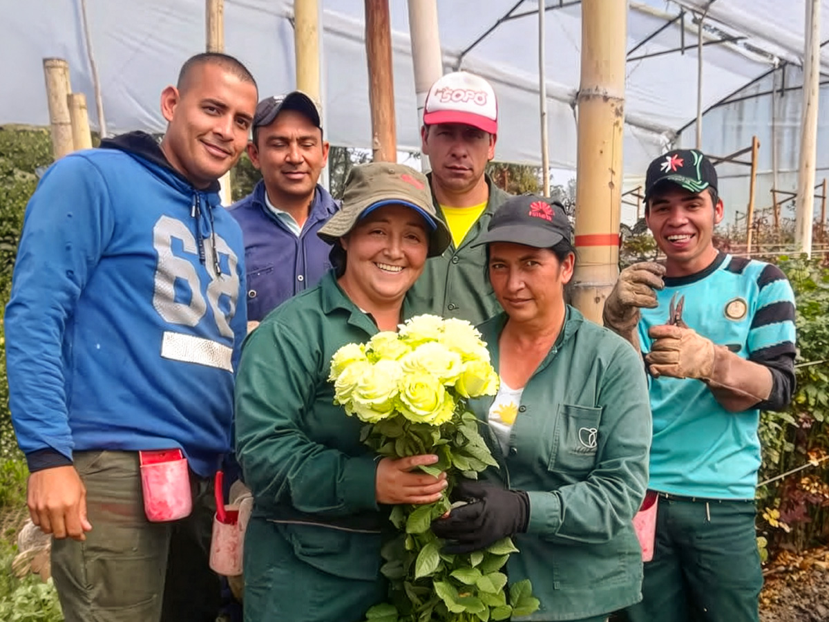 Milagro Flowers workers with bunch of white roses