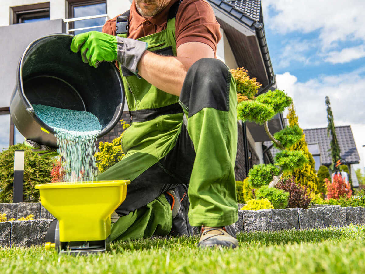 lawn fertilizer