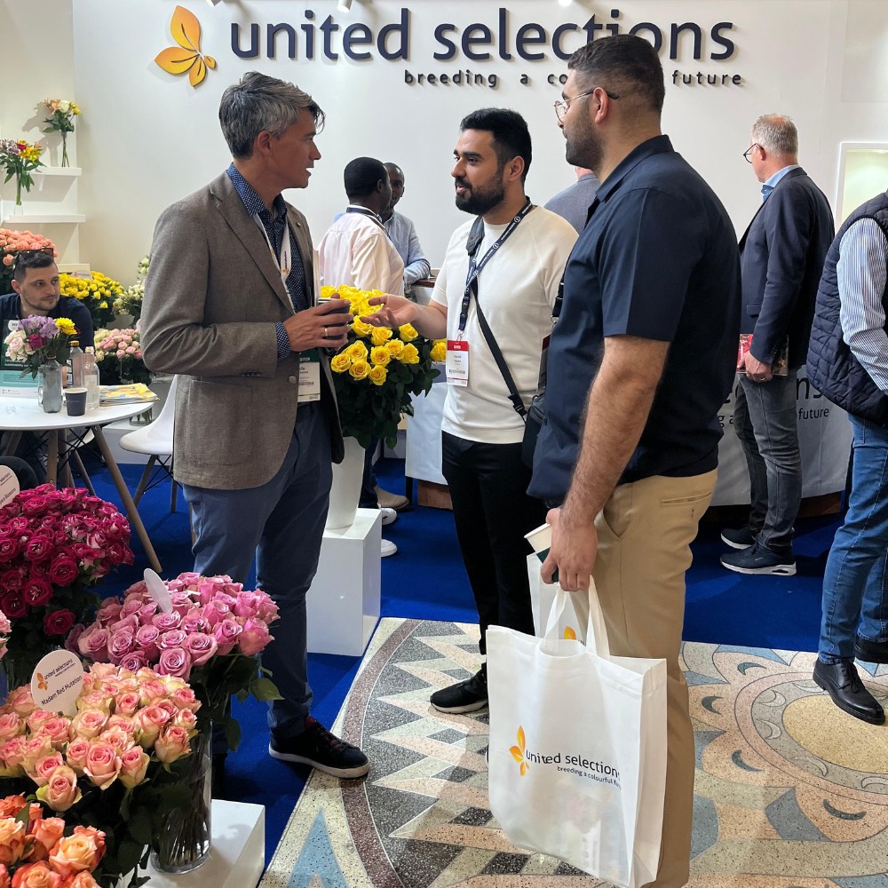 Meet Breeders United Selections, K&ouml;nst Alstroemeria and Icon Selections at Their Joint Stand B5.01 at the IFTEX 2026.