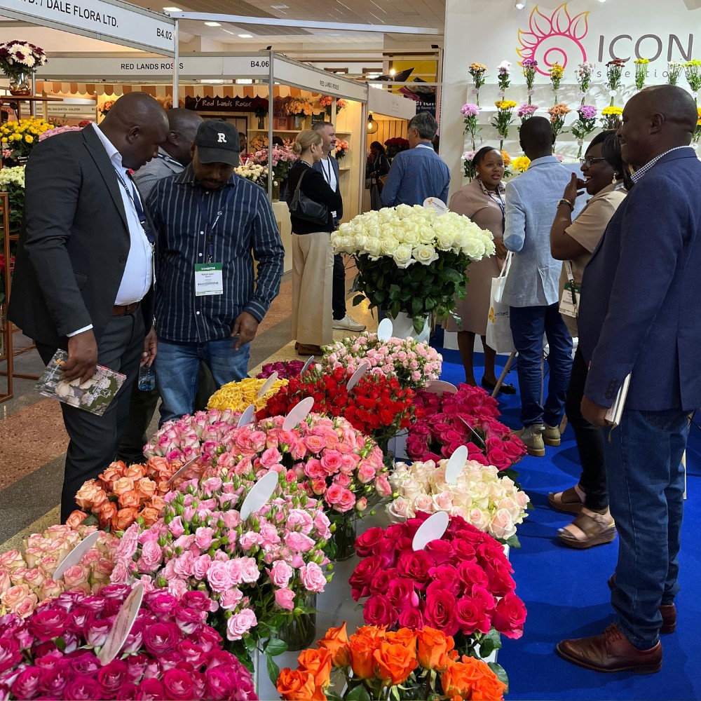 Meet Breeders United Selections, K&ouml;nst Alstroemeria and Icon Selections at Their Joint Stand B5.01 at the IFTEX 2026.