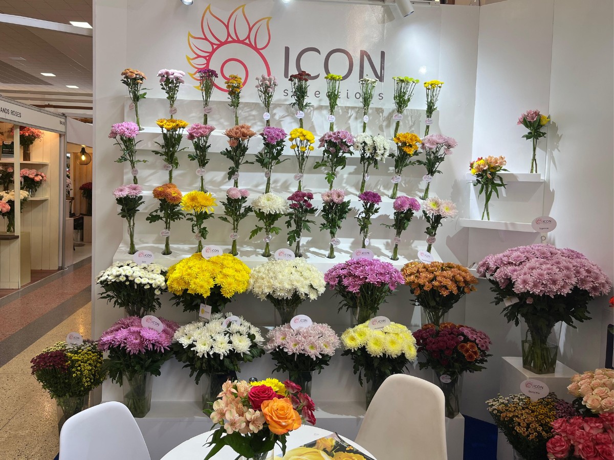 Meet Breeders United Selections, K&ouml;nst Alstroemeria and Icon Selections at Their Joint Stand B5.01 at the IFTEX 2026.