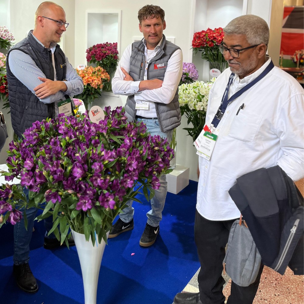 Meet Breeders United Selections, K&ouml;nst Alstroemeria and Icon Selections at Their Joint Stand B5.01 at the IFTEX 2026.