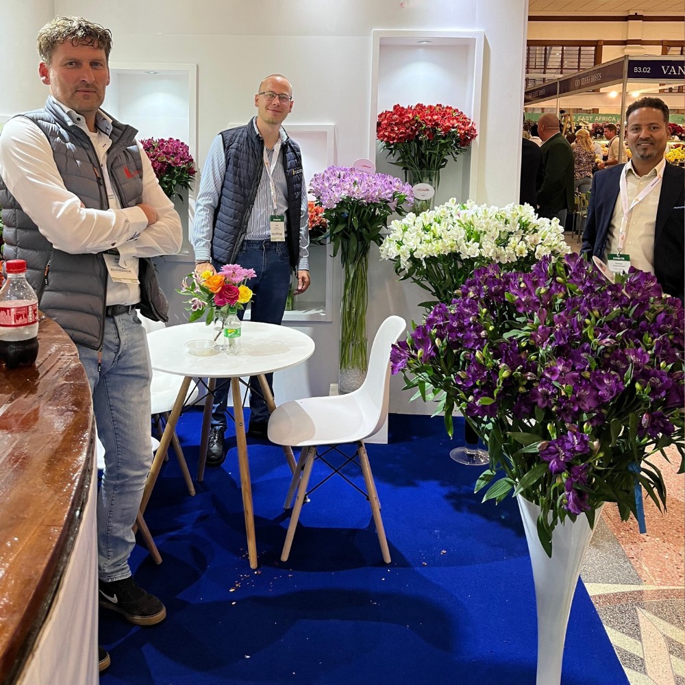 Meet Breeders United Selections, K&ouml;nst Alstroemeria and Icon Selections at Their Joint Stand B5.01 at the IFTEX 2026.