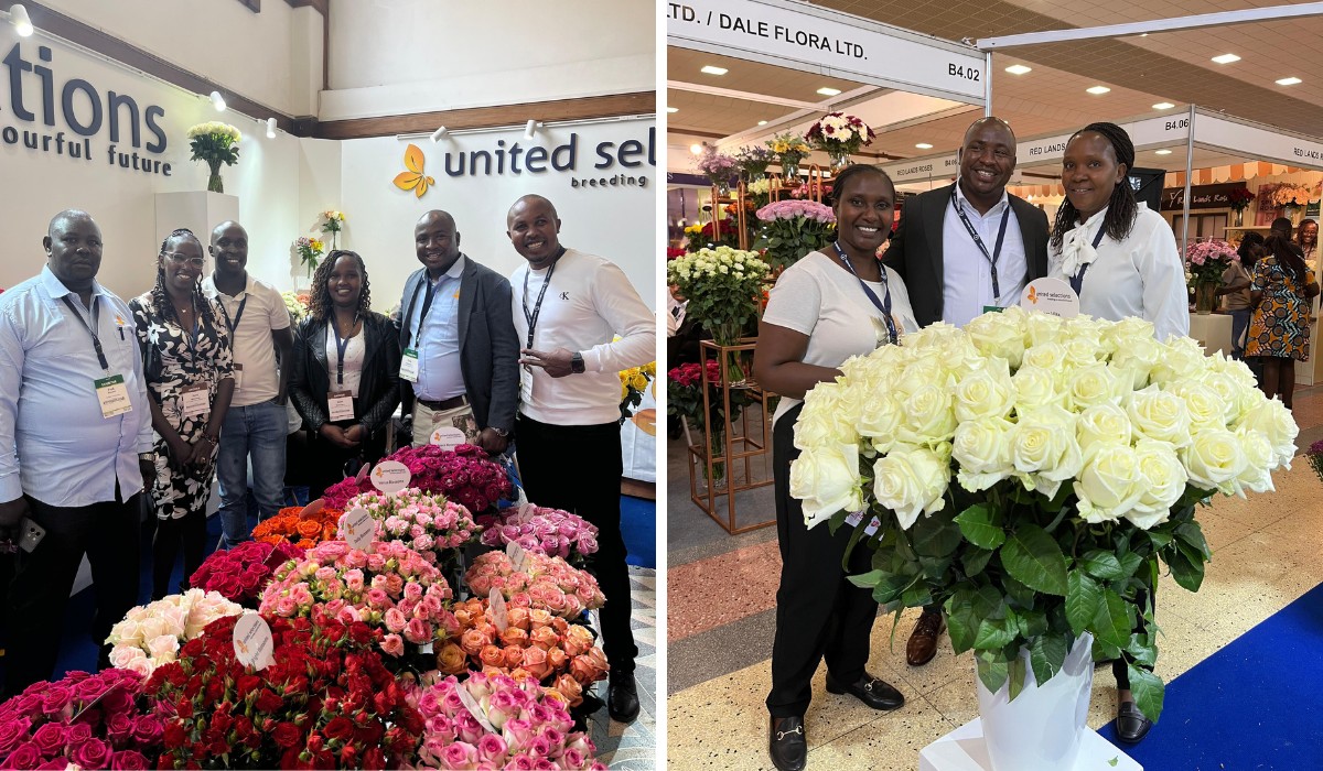 Meet Breeders United Selections, K&ouml;nst Alstroemeria and Icon Selections at Their Joint Stand B5.01 at the IFTEX 2026.