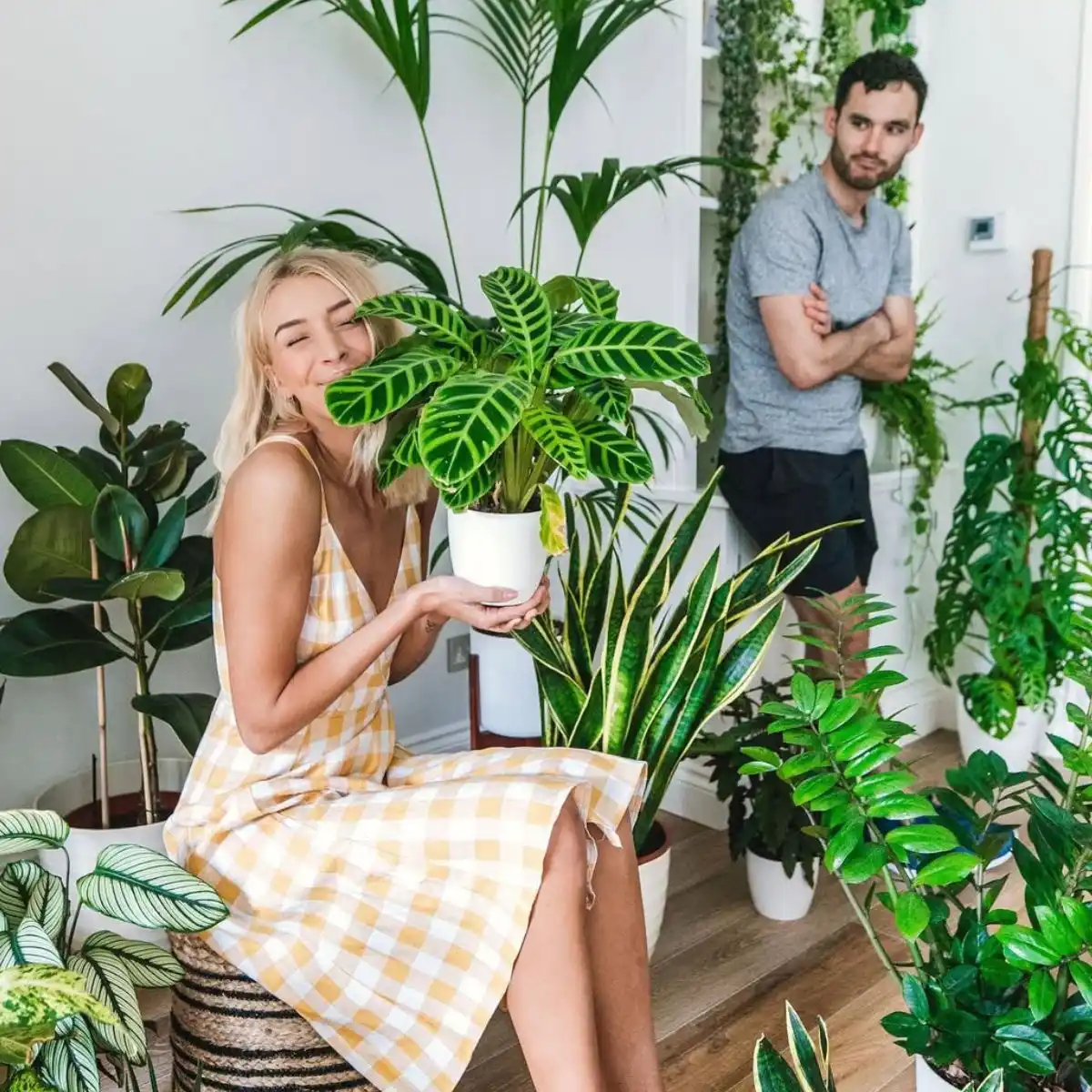 Tips on how to choose your first plants