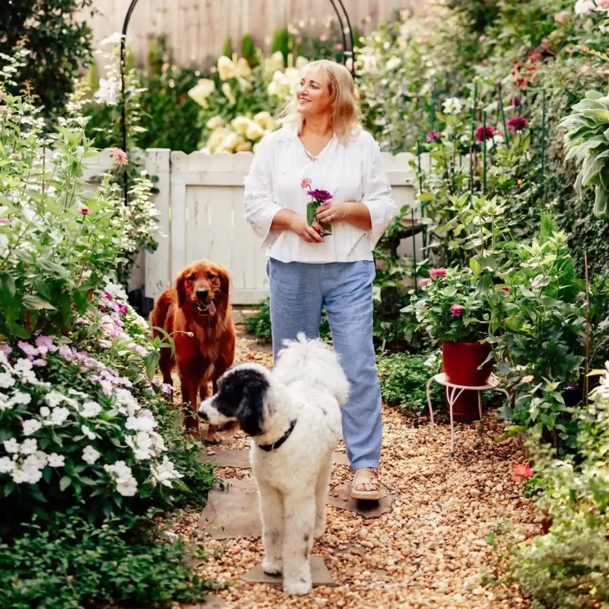 Taking care of garden plants and flowers