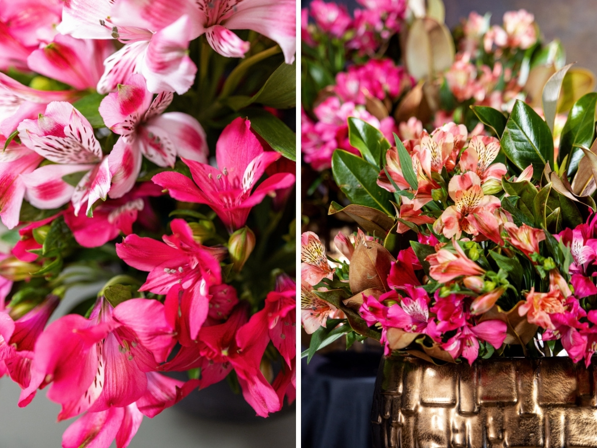 Floral Designer Anna Loshakova Creates Exquisite Interior Designs With Premium Alstroemeria Varieties From Miss Alstroemeria.