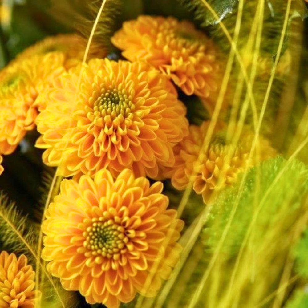 Friendship flowers