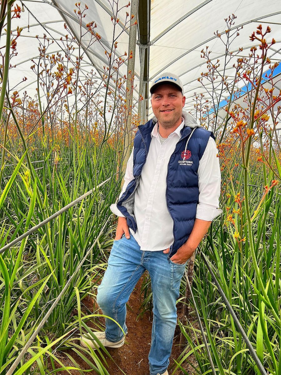 De Ruiter East Africa, Exceptional Africalla, Imani Flowers and Growtech Flowers&rsquo; Kangaroo Paw Collective Initiative to Put Anigozanthos Back Into the Floral Trade Scene.