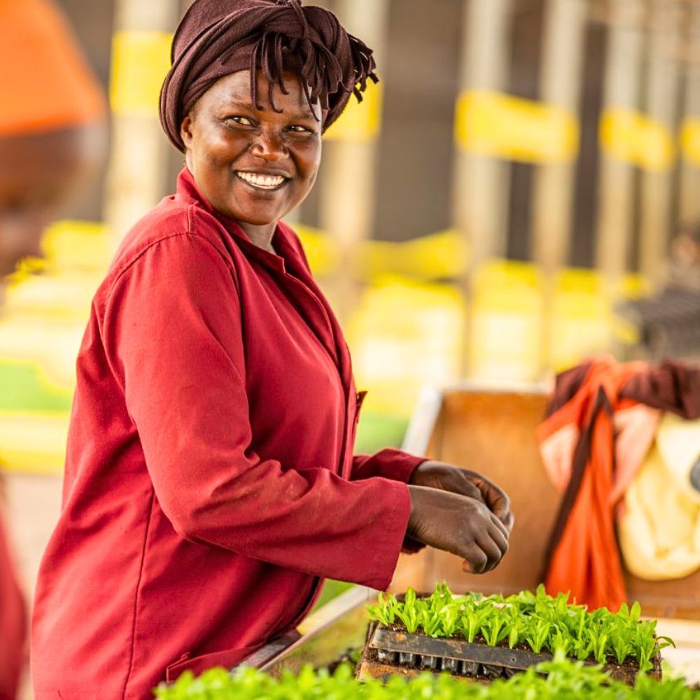 The future of floral sales